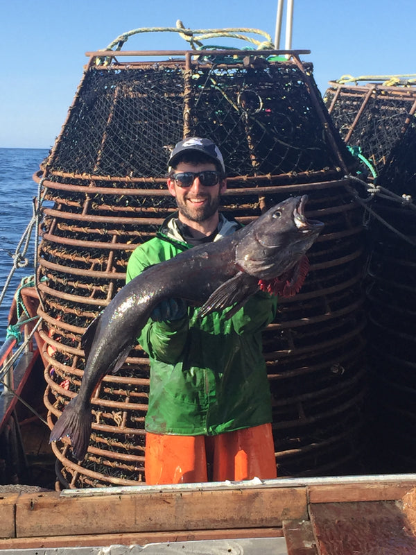Black Cod Tips-1 lb (Limited Supply)