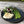 Wild Alaskan Halibut Portions-10 lbs