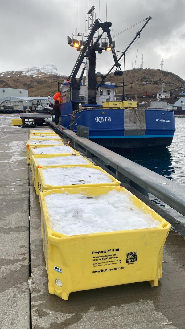 Kaia Cod- Premium Wild Pacific Cod-10lb (Limited Supply)